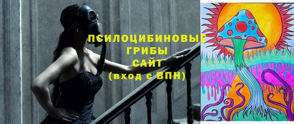 скорость Пересвет