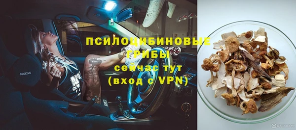 стаф Алексеевка