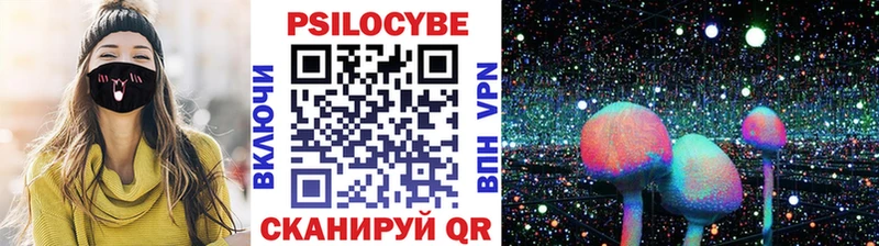 как найти наркотики  Курлово  Псилоцибиновые грибы прущие грибы 
